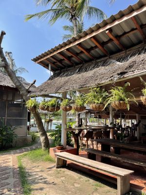   at Orion Cafe in Koh Phangan