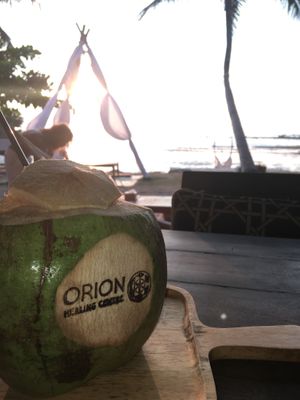 Branded Coconut   at Orion Cafe in Koh Phangan