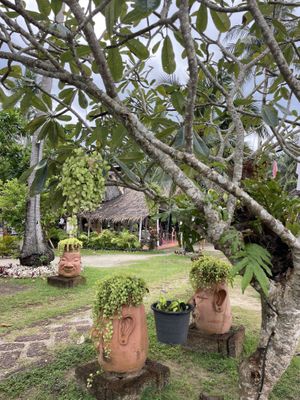 Garden of the cafe with beach   at Orion Cafe in Koh Phangan