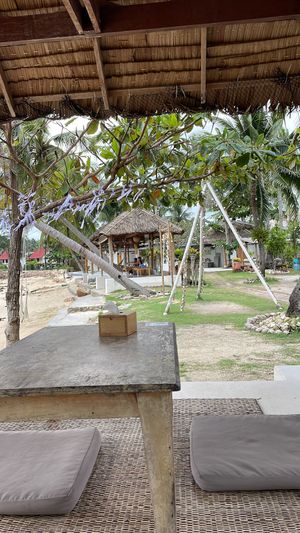   at Orion Cafe in Koh Phangan