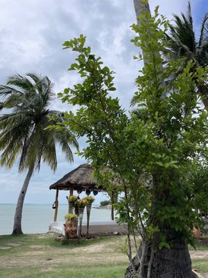   at Orion Cafe in Koh Phangan