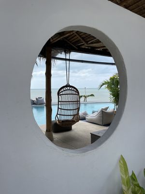   at Orion Cafe in Koh Phangan