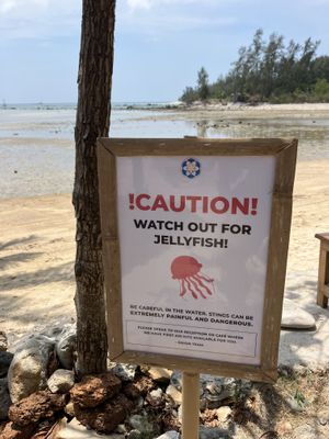   at Orion Cafe in Koh Phangan