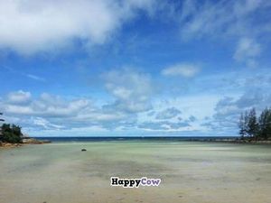 lovely beach view in the front of cafe at Orion Cafe in Koh Phangan