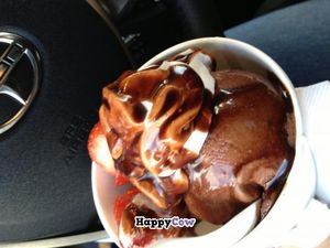 Vegan hot fudge sundae  at Scoop LV in Las Vegas