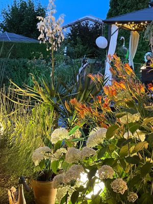  at Restaurant Kastell in Sulz Am Neckar