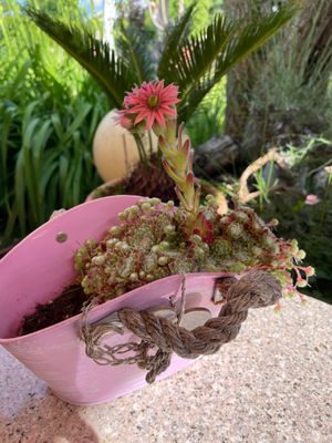  at Restaurant Kastell in Sulz Am Neckar