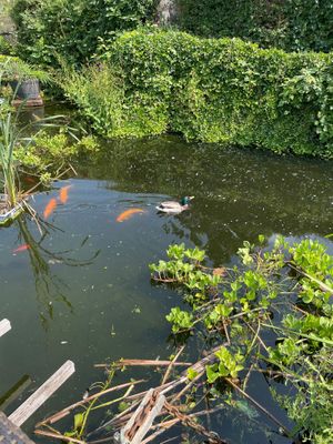  at Restaurant Kastell in Sulz Am Neckar