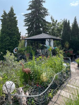  at Restaurant Kastell in Sulz Am Neckar