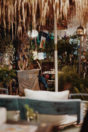   at Alesta in Kyrenia