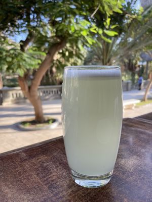   at Huacafuckinchina in Ica