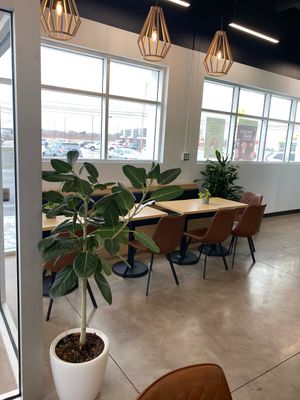 Clean space with lots of plants 🪴   at Harvest Clean Eats in Amherst