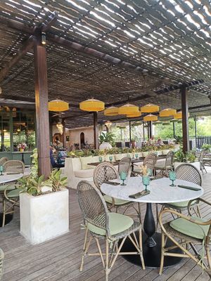  at Plant Bistro in Ubud