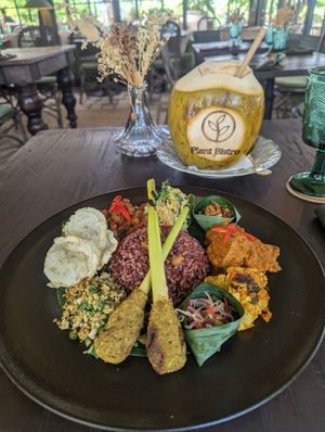 Indonesian dish I can't recall the name 🙈 it has jackfruit chunks, tofu, tempeh, red rice and other delicious things at Plant Bistro in Ubud