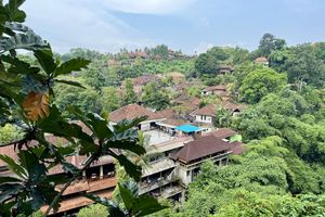 View from the terracee #Veganuary at Plant Bistro in Ubud