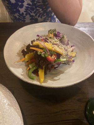 Summer rolls   at Plant Bistro in Ubud