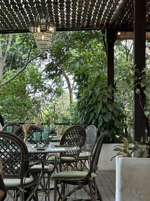   at Plant Bistro in Ubud