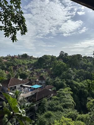   at Plant Bistro in Ubud