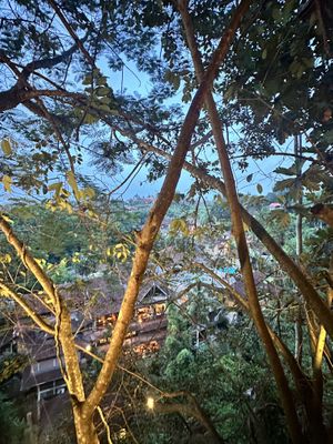   at Plant Bistro in Ubud