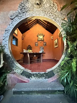   at Plant Bistro in Ubud