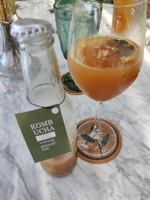 kombucha at Plant Bistro in Ubud