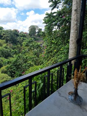 Venue at Plant Bistro in Ubud