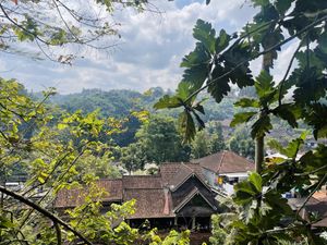   at Plant Bistro in Ubud