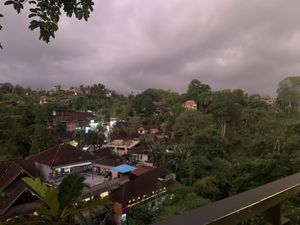   at Plant Bistro in Ubud