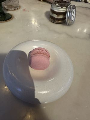 Raspberry macaron  at Plant Bistro in Ubud