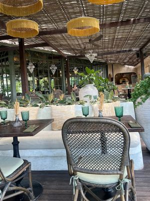   at Plant Bistro in Ubud