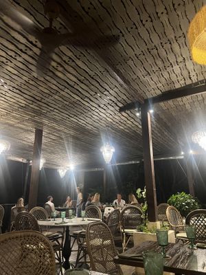   at Plant Bistro in Ubud