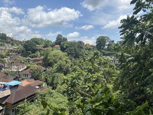   at Plant Bistro in Ubud