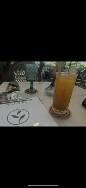   at Plant Bistro in Ubud