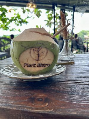   at Plant Bistro in Ubud