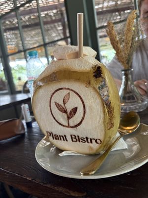 Coconut  at Plant Bistro in Ubud