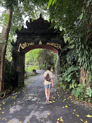   at Plant Bistro in Ubud