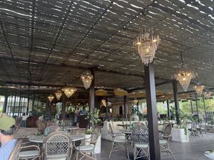   at Plant Bistro in Ubud