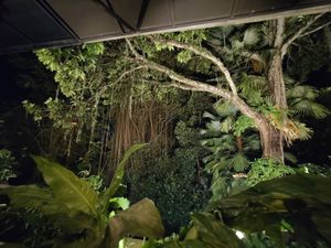 The view by night at Plant Bistro in Ubud