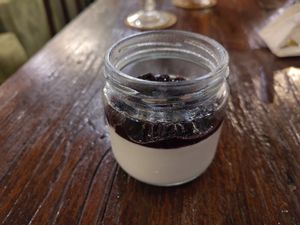 Panna cotta with blueberries at Plant Bistro in Ubud