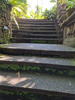 Up these stairs and to the left at Plant Bistro in Ubud