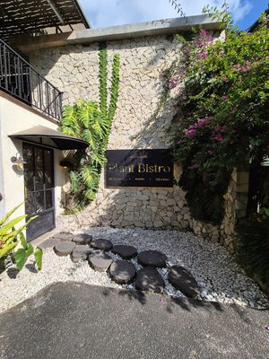 Plant Bistro at Plant Bistro in Ubud