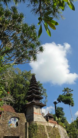  at Plant Bistro in Ubud