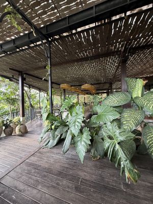   at Plant Bistro in Ubud