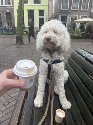 Saar loved her drink!  at Vanneau Cafe in Utrecht