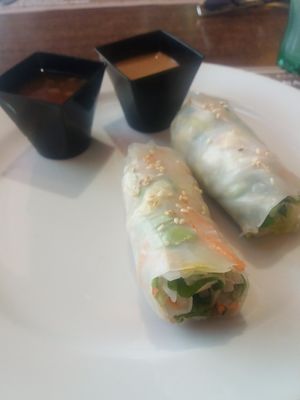 Veggie spring roll w/ peanut sauce at Trófea Grill in Budapest
