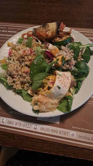 vegan buffet at Trófea Grill in Budapest