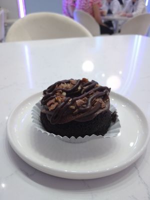 D at Suculenta Armida in Monterrey