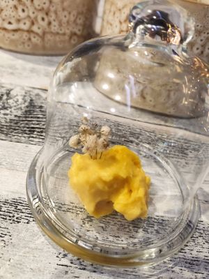 Sample of home-made vegan cheese at Post Posti in Zlatibor