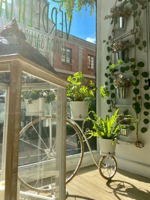 Entrada amplia at Verdelima in Leon