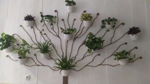 Naturaleza  at Verdelima in Leon